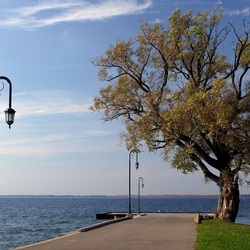 Пазл: Набережная