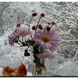 Пазл: На фоне зимы