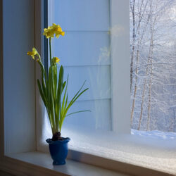 Пазл: В ожидании весны