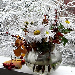 Пазл: За окном зима