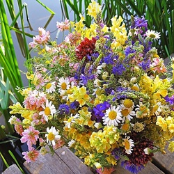 Пазл: Полевой букет