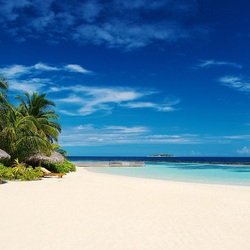 Пазл: Пляж в тропиках