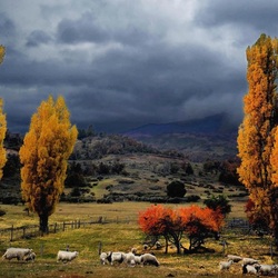 Пазл: Аргентина