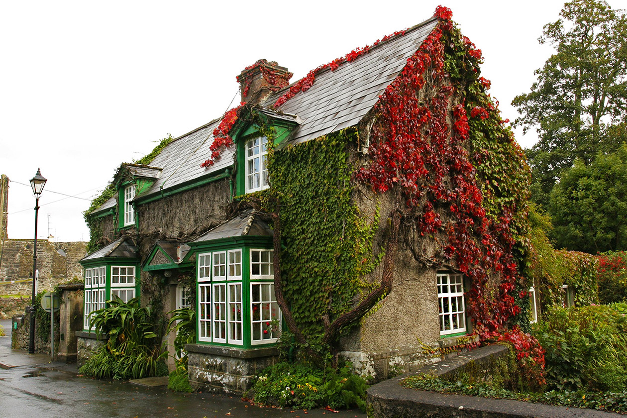 Ирландские дома фото мадейра купить дом