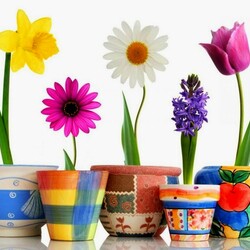 Пазл: Цветики-цветочки