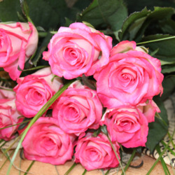 Пазл: Розовые розы