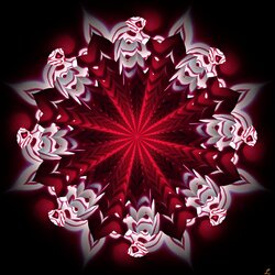 Пазл: Алая роза