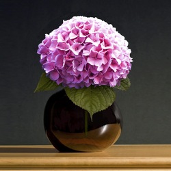 Пазл: Ваза с гортензией