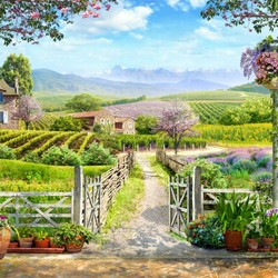 Пазл: Виноградники