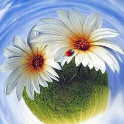 Пазл: Весеннее настроение