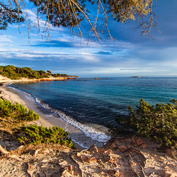 Пазл: Природа