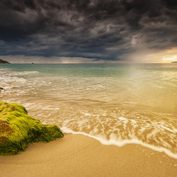 Пазл: Природа