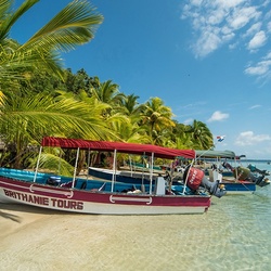 Пазл: Тропики