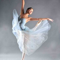 Пазл: Красота танца