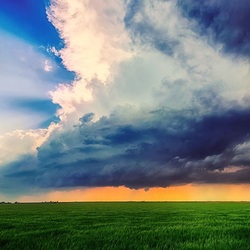 Пазл: Туча над полем
