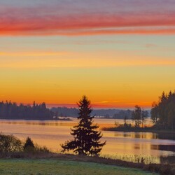 Пазл: Родные просторы