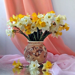 Пазл: Нарциссы