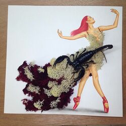 Пазл: Танцы со скорпионами 