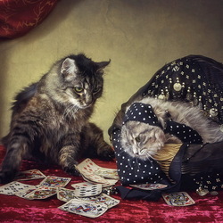 Пазл: Гадалка