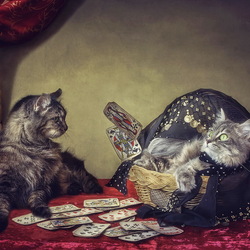 Пазл: Гадалка