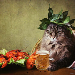 Пазл: Котриций