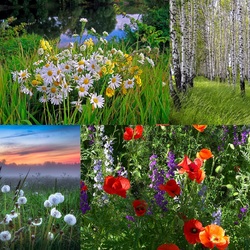 Пазл: Уголки России