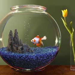 Пазл: Аквариум