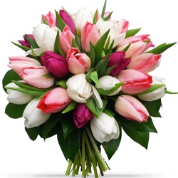 Пазл: Букет тюльпанов