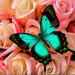 Пазл: Розы и бабочка