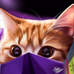 Пазл: Кот в пакете