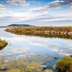 Пазл: Протока реки