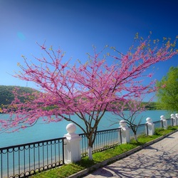 Пазл: Абрау-Дюрсо