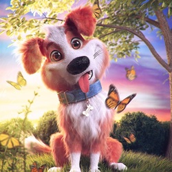 Пазл: Очаровательный щеночек