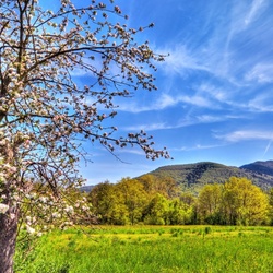 Пазл: Весна