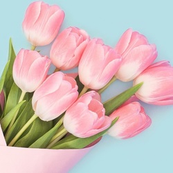 Пазл: Тюльпаны