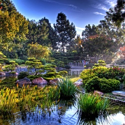 Пазл: В саду