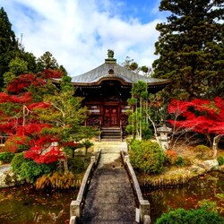 Пазл: Дом  у пруда