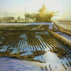 Пазл: Солнечный день