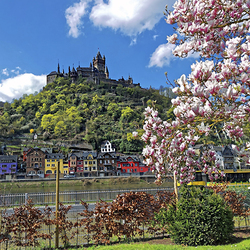 Пазл: Замок Кохем