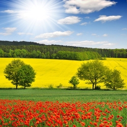 Пазл: Весенний пейзаж