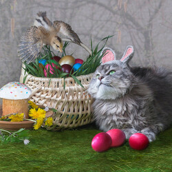 Пазл: Пасхальный котик