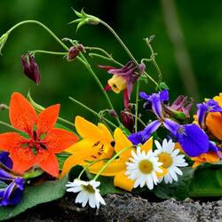 Пазл: Яркие цветы