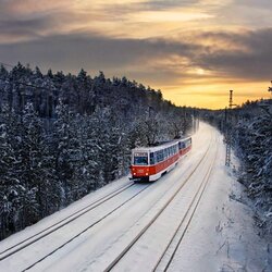 Пазл: Трамвай через тайгу