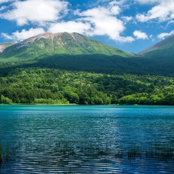 Пазл: Красоты природы