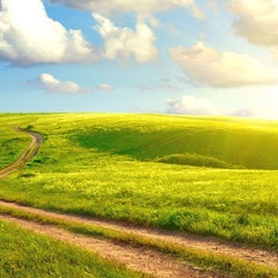 Пазл: Знойное лето