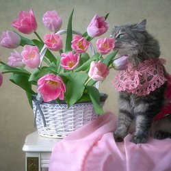 Пазл: Упоительный аромат