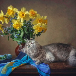 Пазл: Кошка Масяня и букет нарциссов