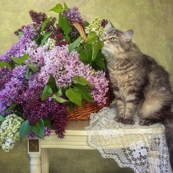 Пазл: Вдыхая аромат сирени