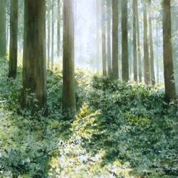 Пазл: Там за деревьями