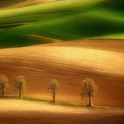 Пазл: Земные просторы